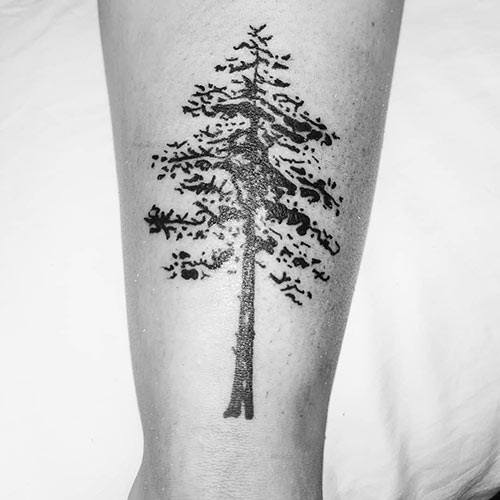 Cypress tree of life tattoo design