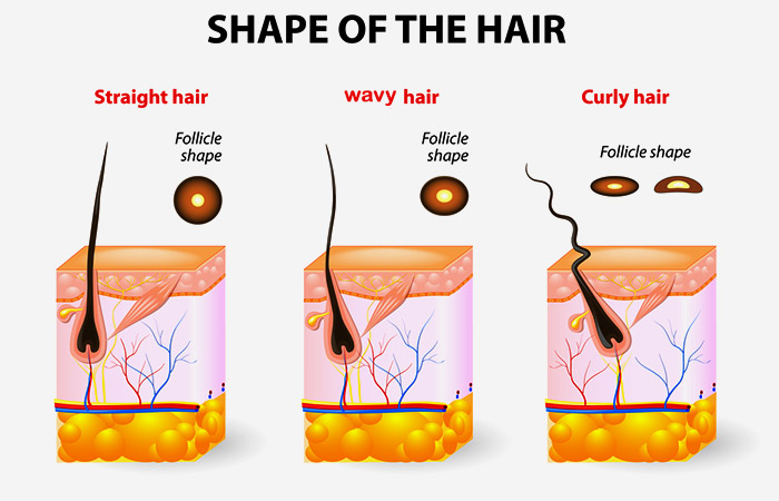 What is 3a hair type