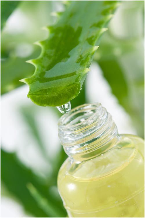 Aloe vera gel for removing tattoo at home